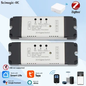 RF Mando 2-Channel Zigbee Tuya Smart Switch Relay Module DC 12V 24V 220V