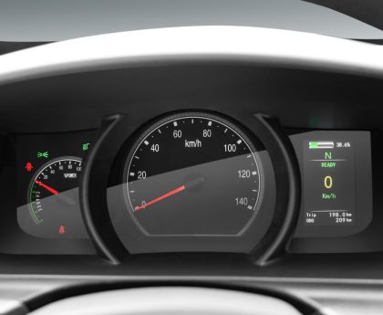 Sea Lion dashboard instrument panel gauge