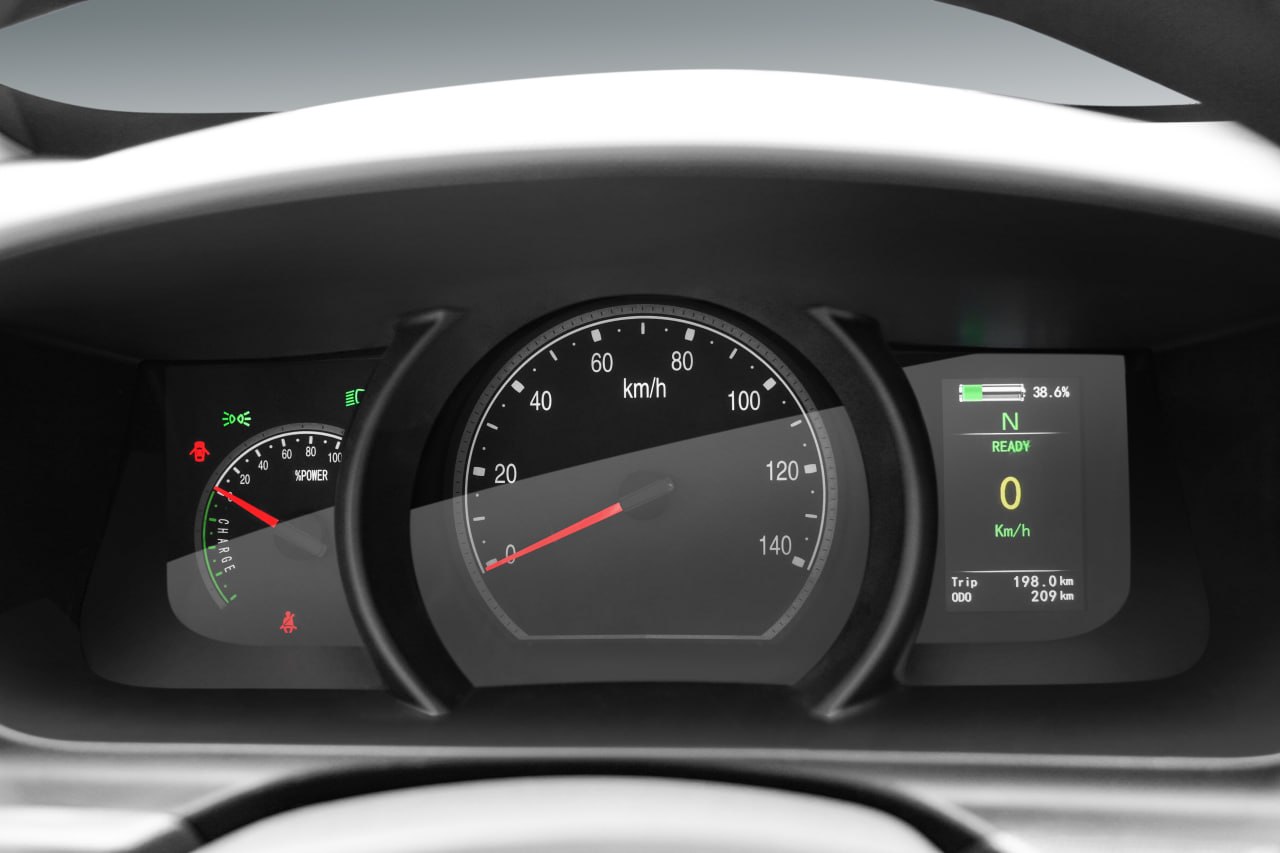 Sea Lion dashboard instrument panel gauge